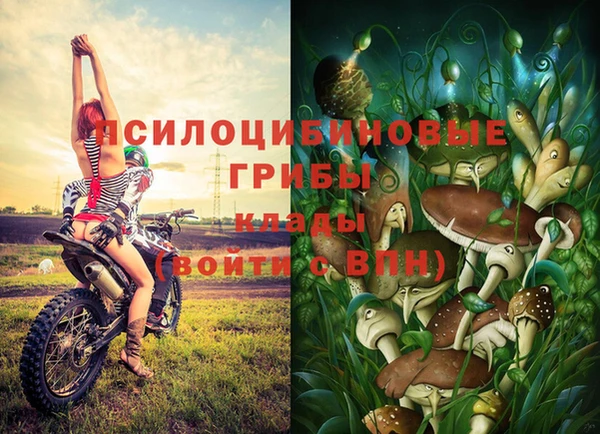 СК Богородицк