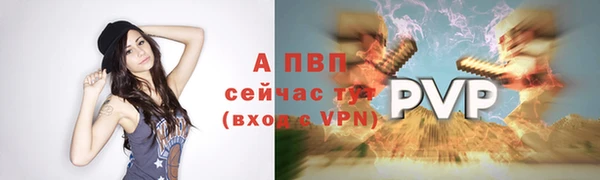 СК Богородицк