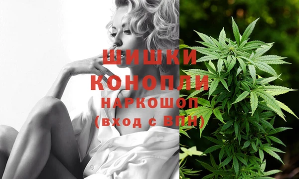 СК Богородицк