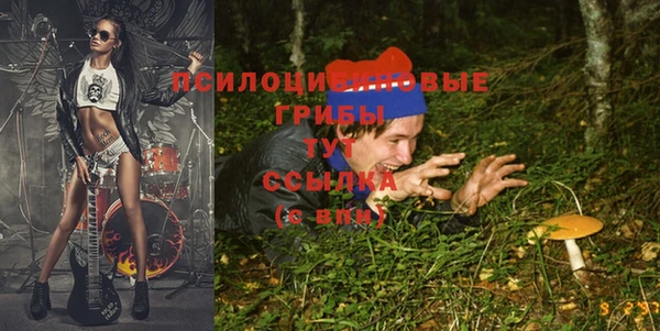 наркотики Богданович